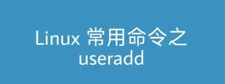 图片[1]-Linux useradd命令详解(Linux添加用户命令useradd和相关选项使用方法)-编程社