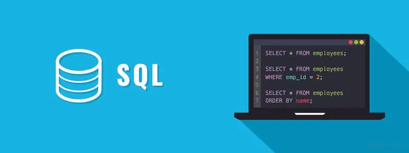 图片[1]-SQL通配符详解：高效搜索和匹配数据的关键技巧-编程社