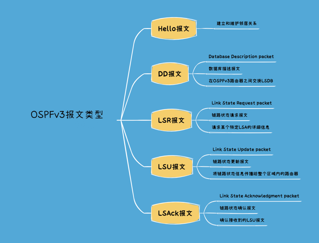 图片[1]-OSPFv3报文类型有哪几种以及其作用-编程社