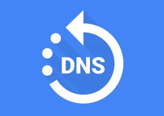 图片[1]-如何运用Ruby语言创建一个DNS查询-编程社
